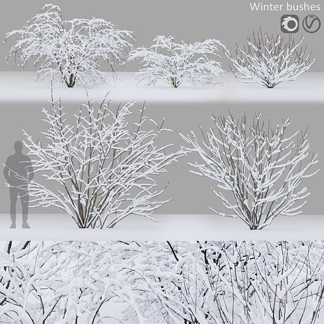 Winter bushes # 1