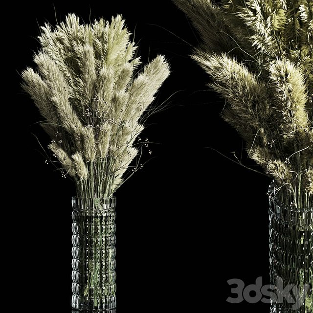Dry Plants pampas Bouquet Indoor glass vase