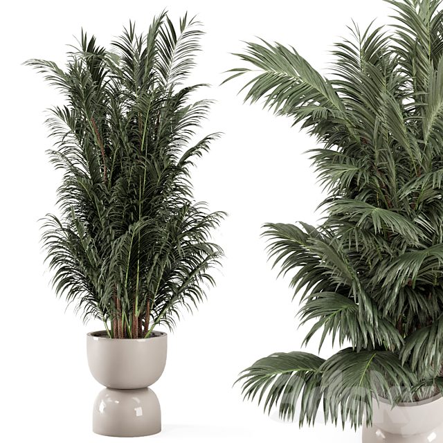 Indoor Plants  in rusty Concrete Pot - Set 352