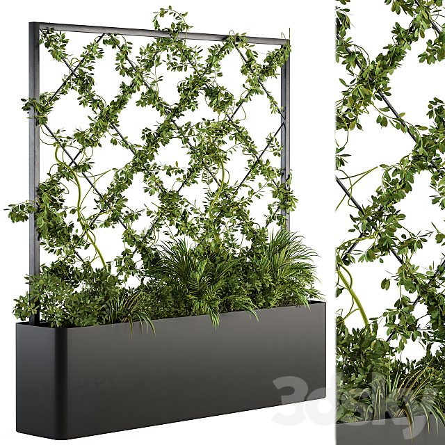 Vertical Garden - Outdoor Green Wall 39
