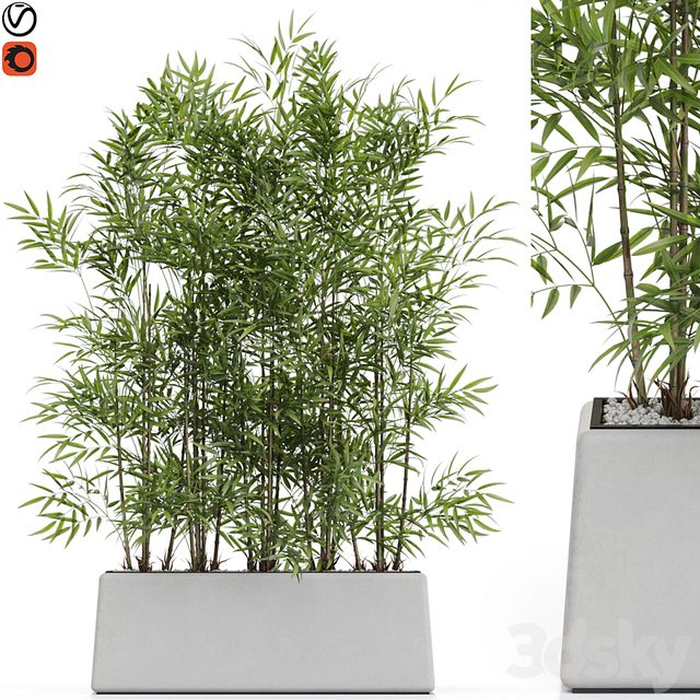 Plants collection 615