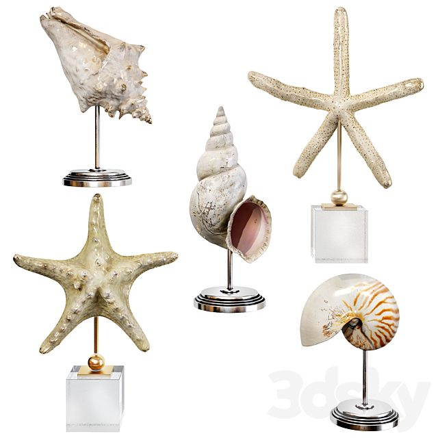 Sea shell decorative set 03