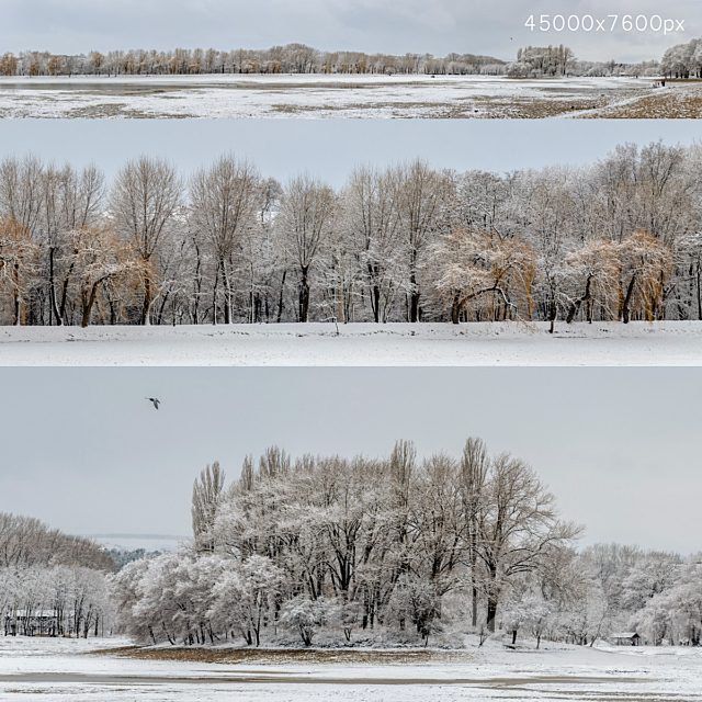Panorama of the park with a lake and snow-covered trees. 45k