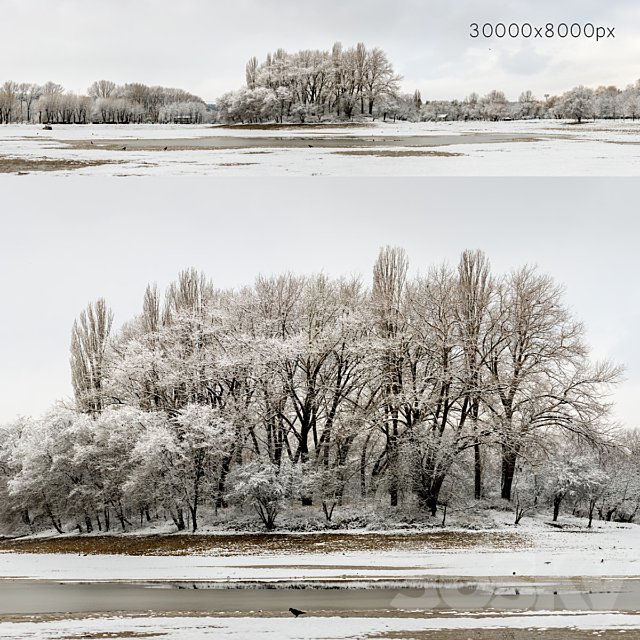 Panorama of the park with a lake and snow-covered trees. 30k