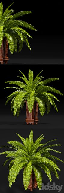 PLANTS 9