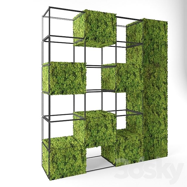 moss shelves