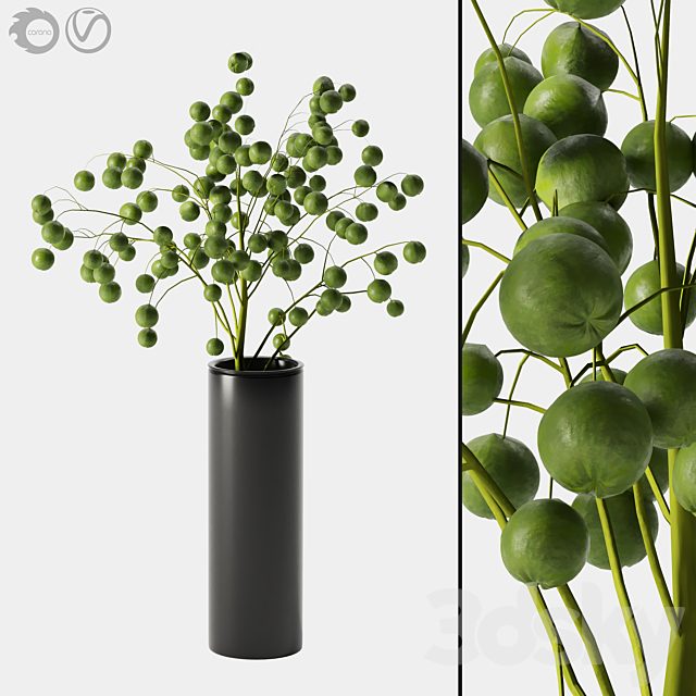 plant indoor 05