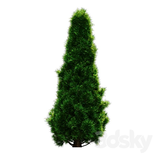 tree for landscape 30 (pine tree)
