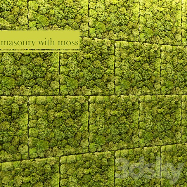 Stone and moss
