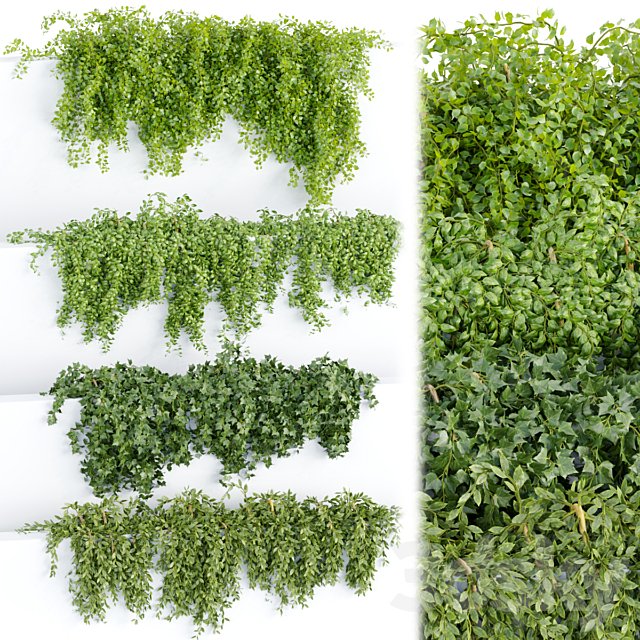 Hanging wall plants collection vol 64