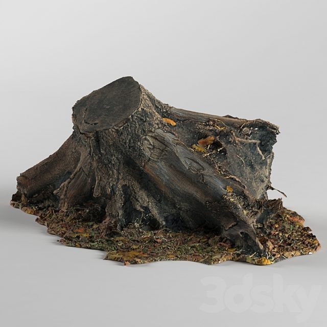 Stump