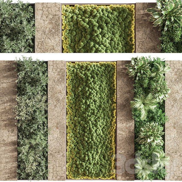 Concrete and Vertical Garden 02