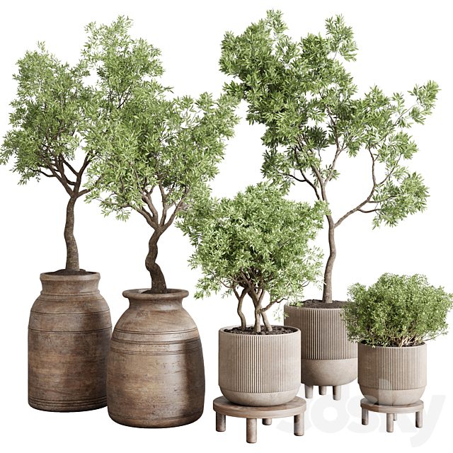 wood collection indoor outdoor plant 141 vase concrete old pot tree vray