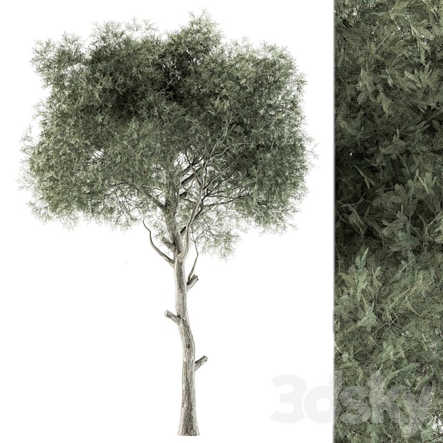 Tree Green Needle - Set 63
