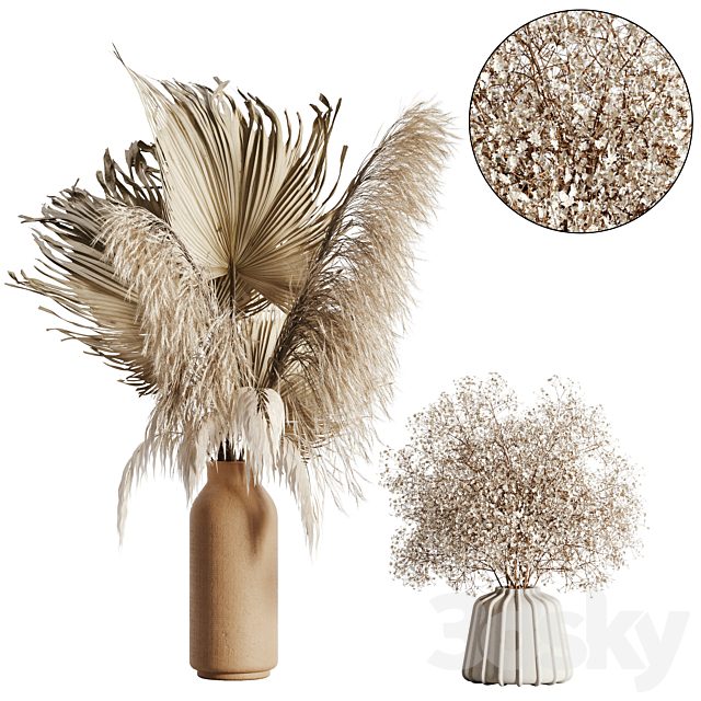 pampas set 04