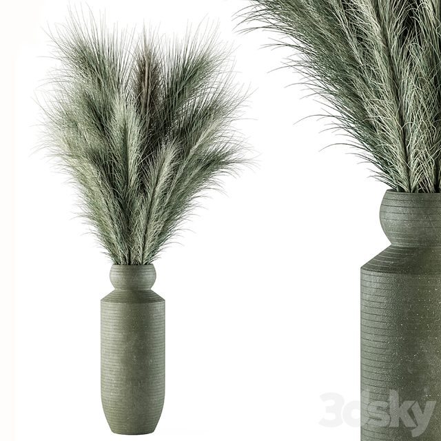 Dry plants 85 - Dried Green Branch