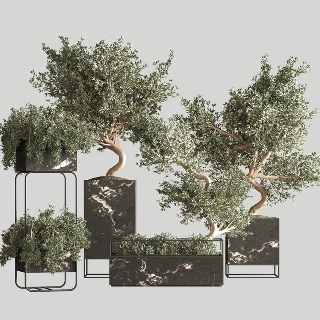 indoor plant set 39