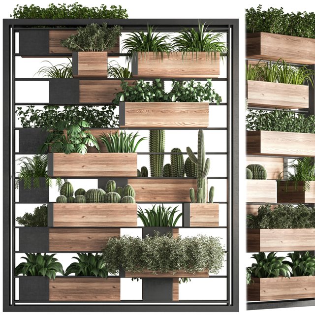 indoor plant and vertical plant in box set 34(corona)