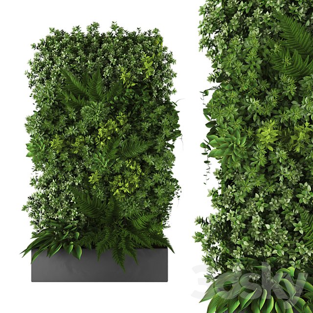 vertical garden167