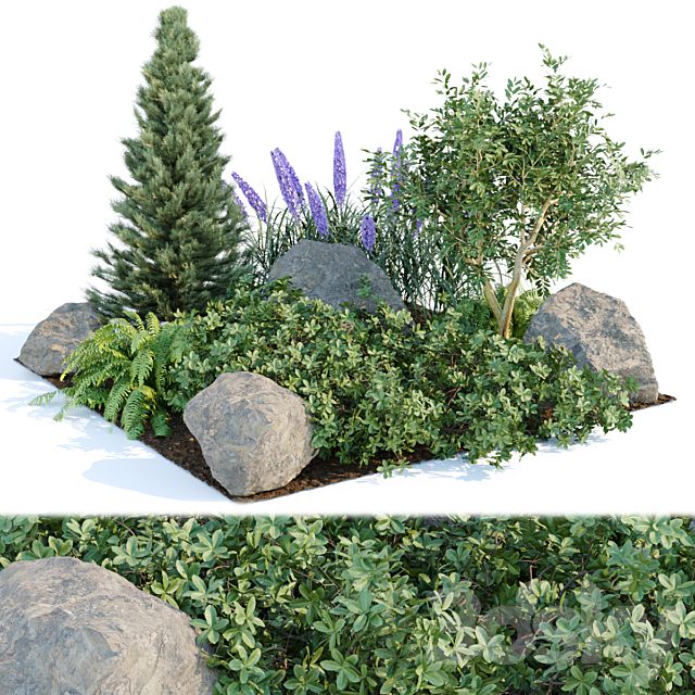 outdoor garden plants collection vol 69