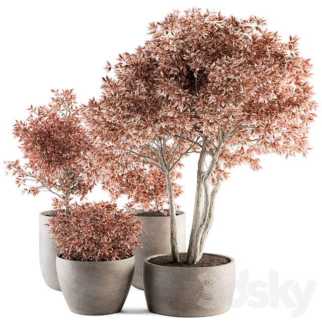 Outdoor Plant Set 359 - Pink Plant Set in Concrete Pot