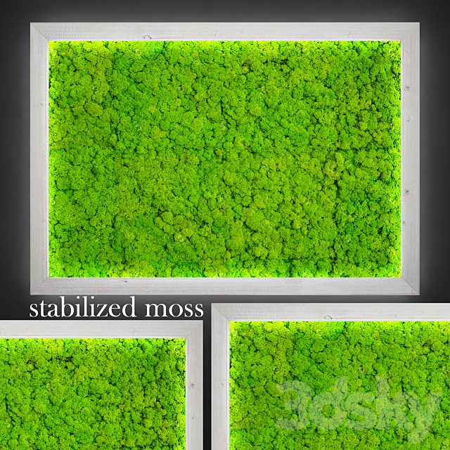 Stabilized moss.