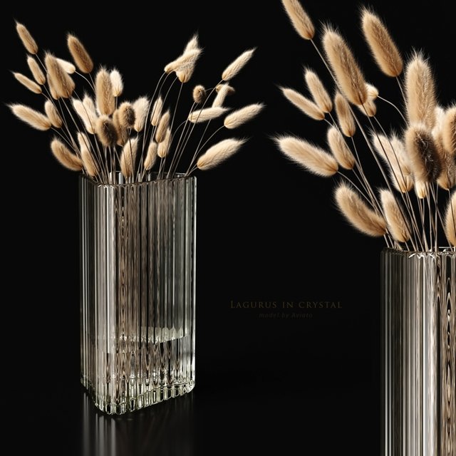 Lagurus in crystal