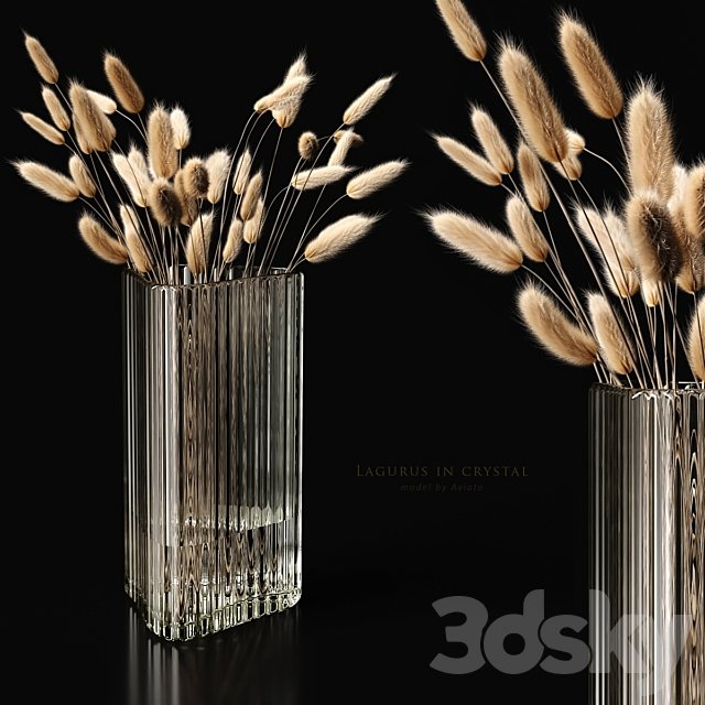 Lagurus in crystal