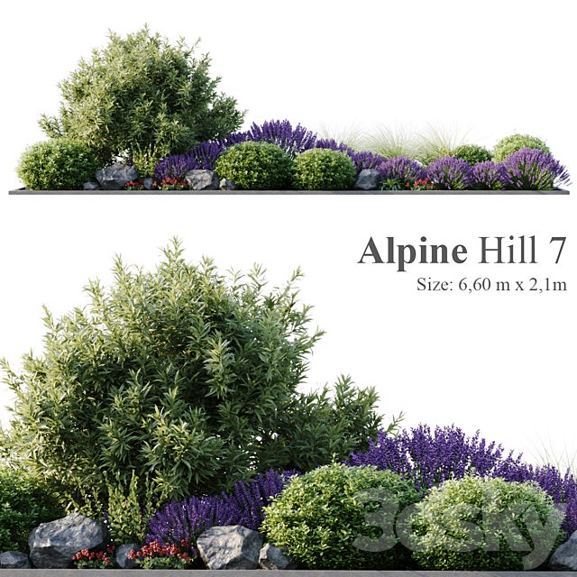 Alpine Hill 7