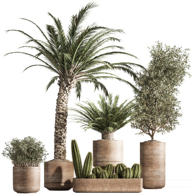 indoor plant set 41