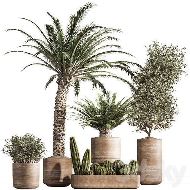 indoor plant set 41