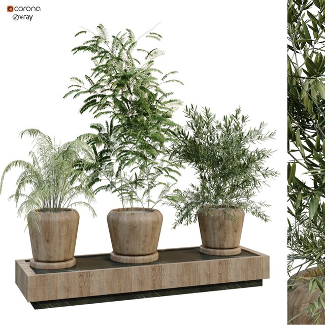 green plant box 269