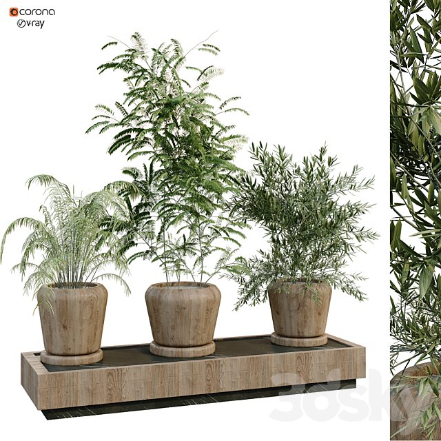 green plant box 269