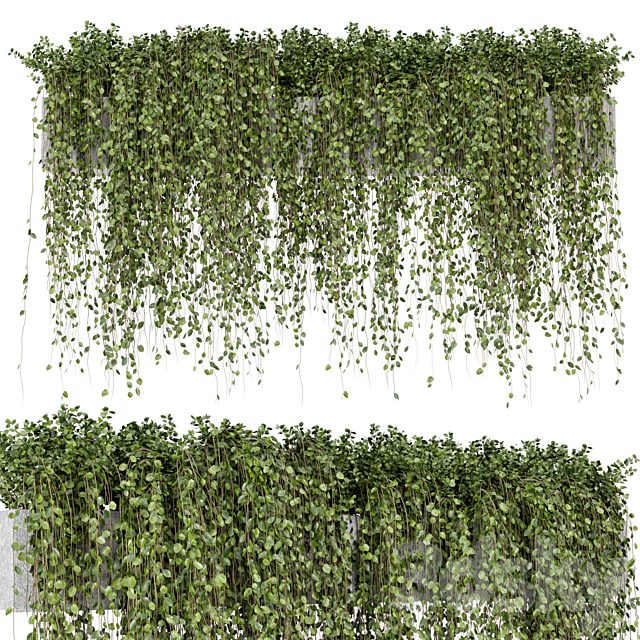 Hanging Plants in rusty Concrete Pot - Set 509