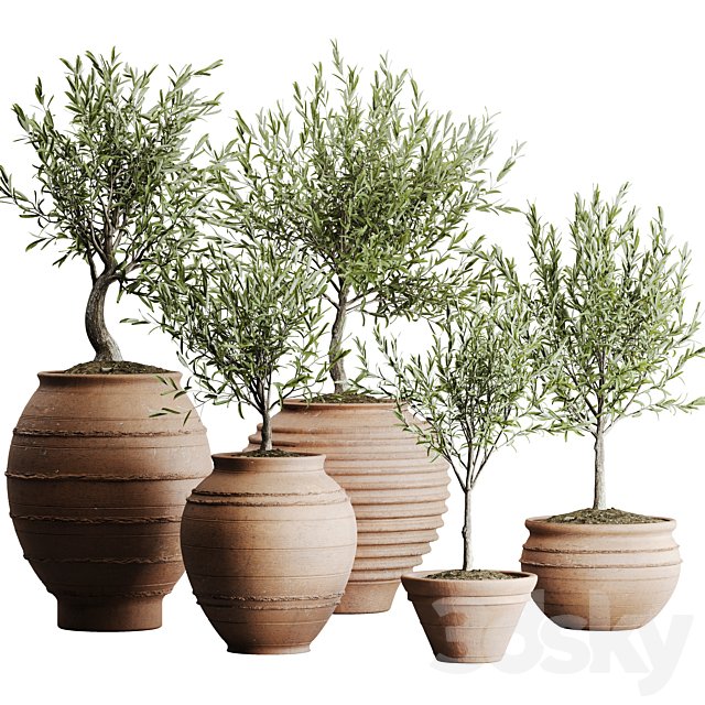 outdoor plant set 06
