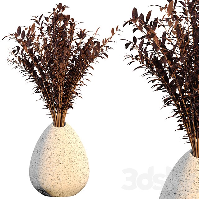 Dry flower 008