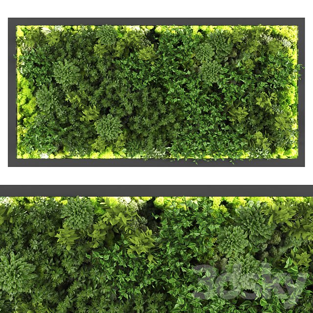 vertical garden169