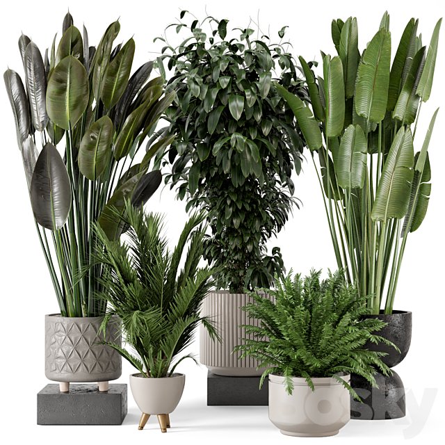 Indoor Plants in rusty Concrete Pot - Set 542