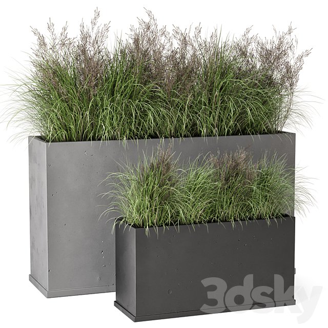 Outdoor Plants Bush in rusty Concrete Pot - Set 565
