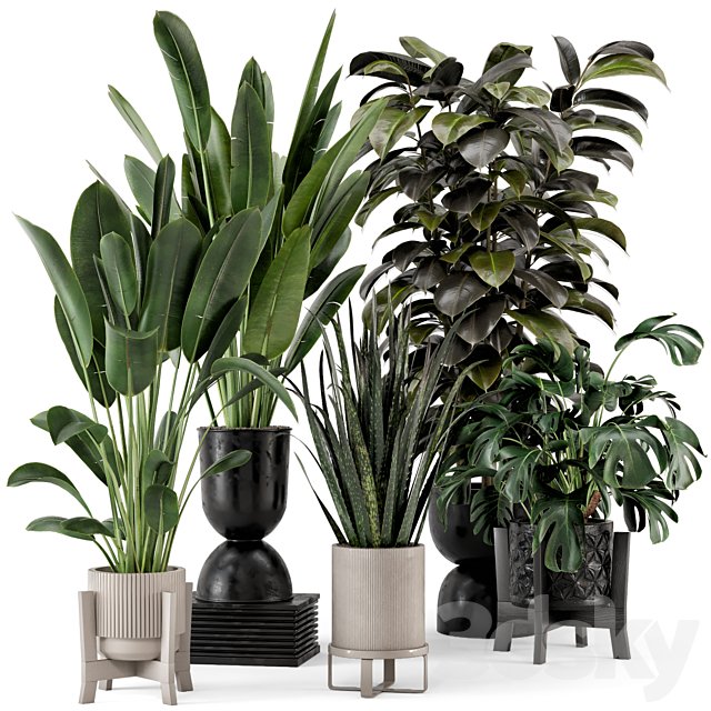 Indoor Plants in Ferm Living Bau Pot Large - Set 583
