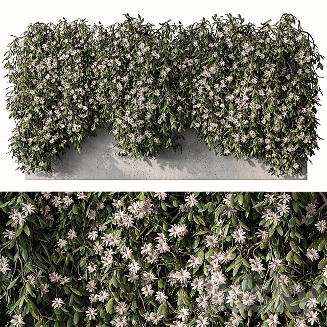 Outdoor Hanging Plants with White Flower - Set 390