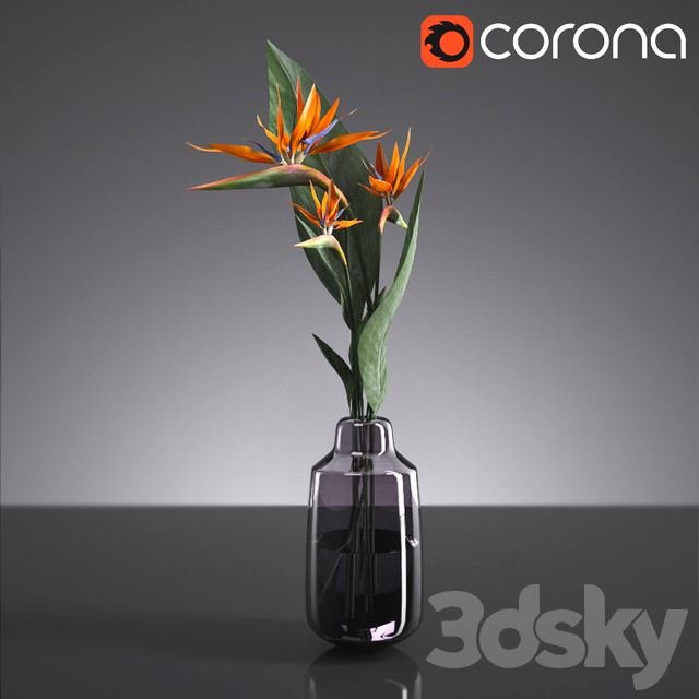 Bouquet of flowerspro