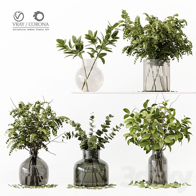 Collection Indoor Plants 020