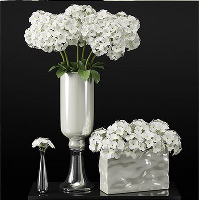 Hydrangeas