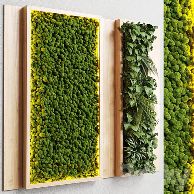 wall garden and vertical moss in wooden frame 22