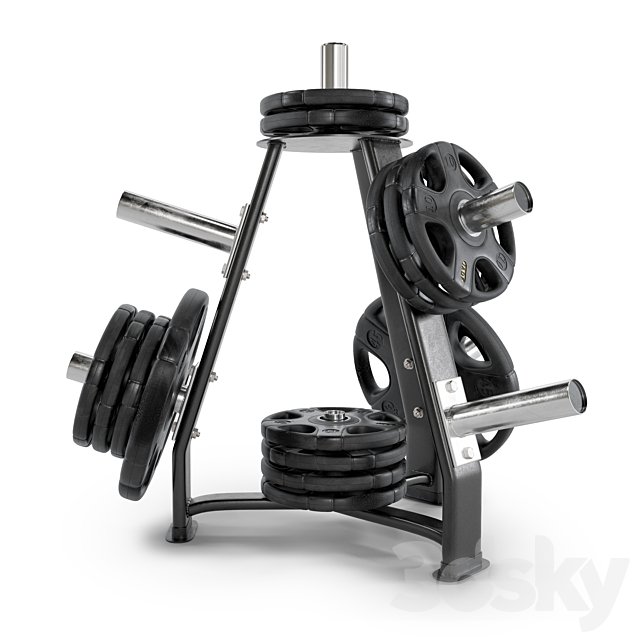 Gym Rack Disc Vid 01
