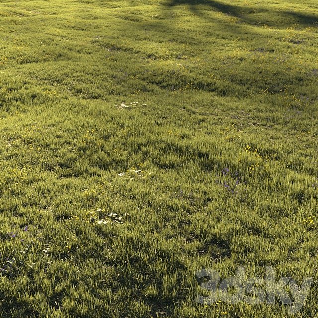 Grass and Flower