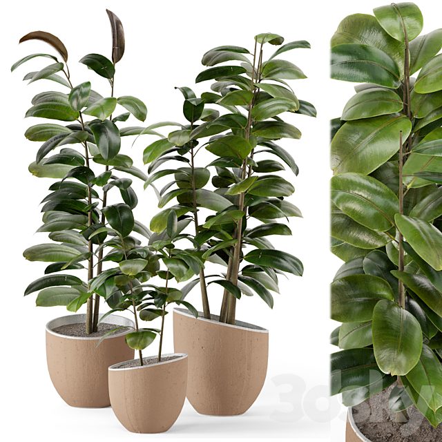 Indoor Plants in rusty Concrete Pot - Set 692