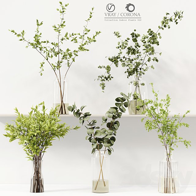 Collection Indoor Plants 022