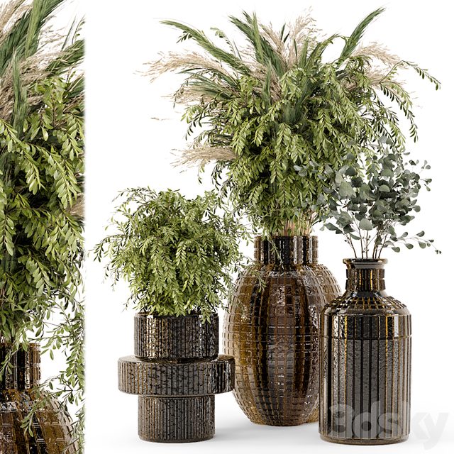 Collection Indoor Plants in Glass Pots - Set 701